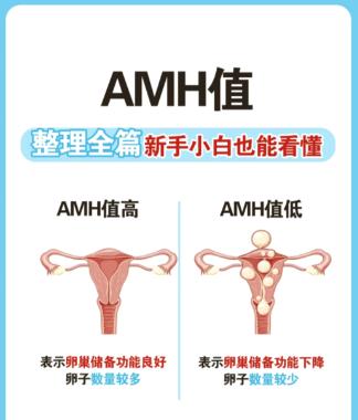 amh是什么检查项目