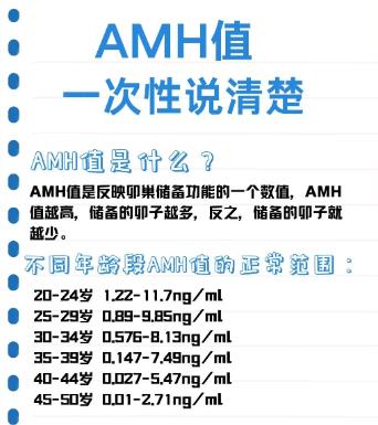 amh是什么检查项目？