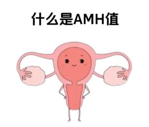 amh值多少正常范围