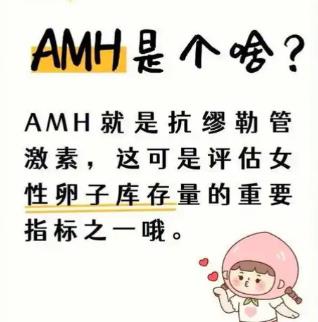检测amh高怎么办